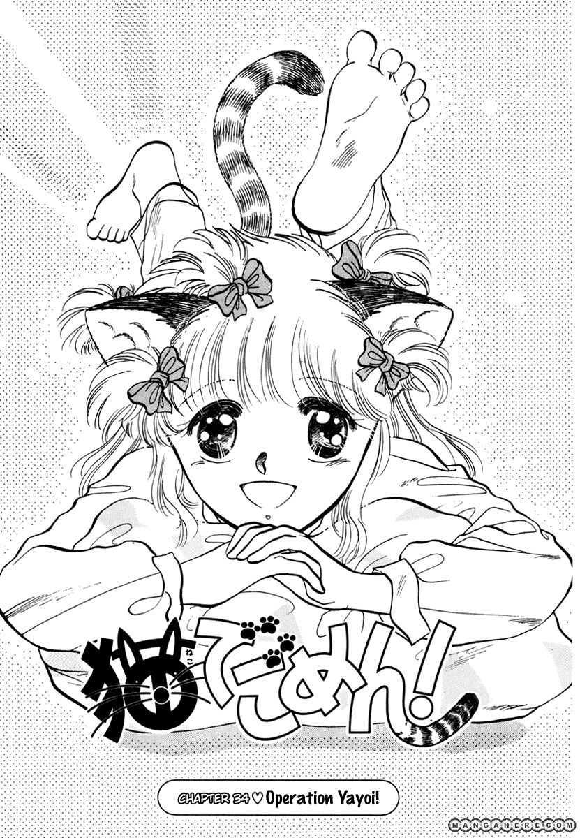 Neko de Gomen! 34 Page 2