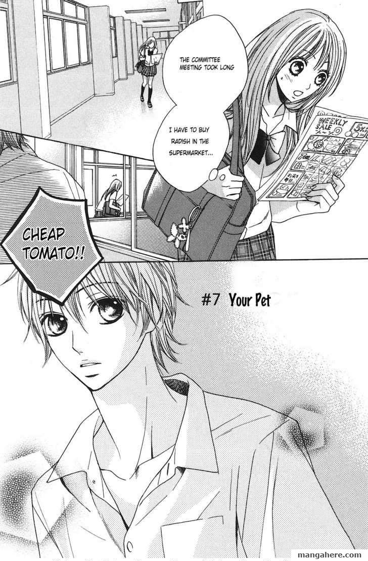 L-DK - Your Pet - 2
