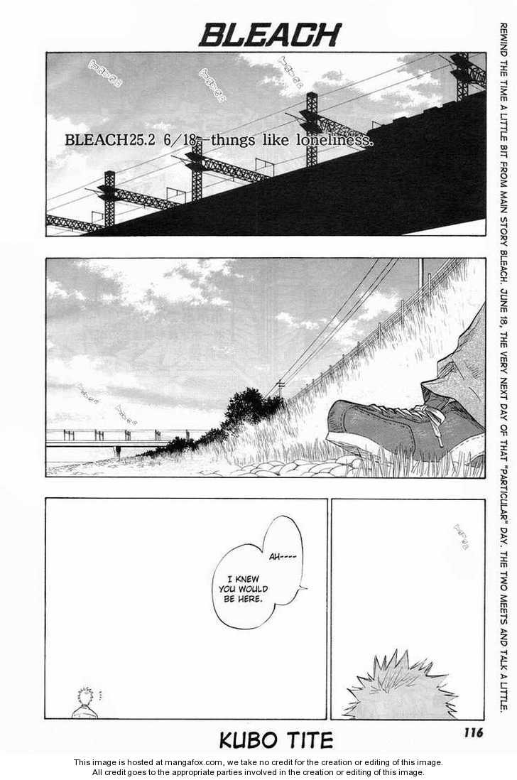Bleach 25.2 Page 1