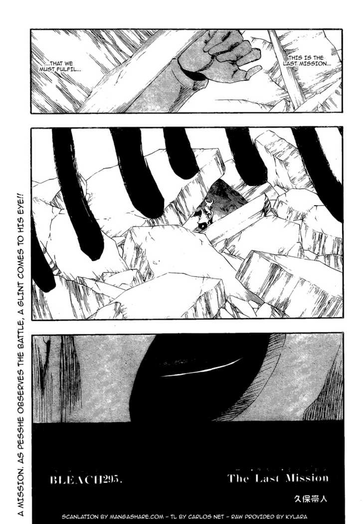 Bleach 295